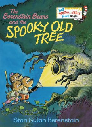 Kniha Berenstain Bears and the Spooky Old Tree Stan Berenstain