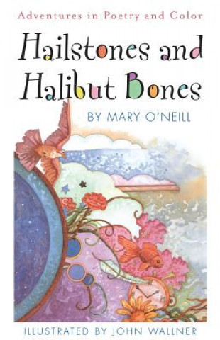 Könyv Hailstones and Halibut Bones Mary O'Neill