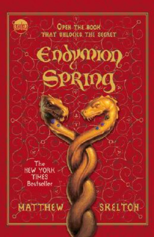 Kniha Endymion Spring Matthew Skelton