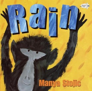 Βιβλίο Rain Manya Stojic
