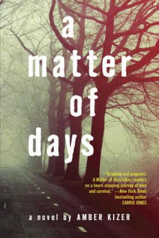 Книга A Matter of Days Amber Kizer