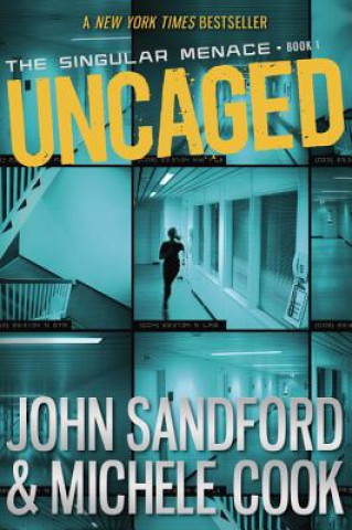 Könyv Uncaged John Sandford