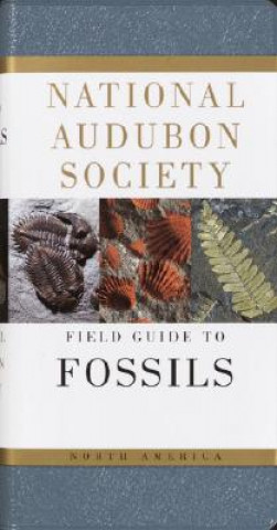 Könyv National Audubon Society Field Guide to Fossils Ida Thompson