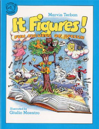 Buch It Figures! Marvin Terban