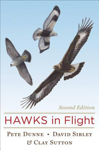 Könyv Hawks in Flight Pete Dunne