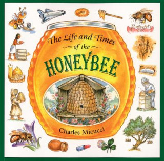 Carte The Life and Times of the Honeybee Charles Micucci