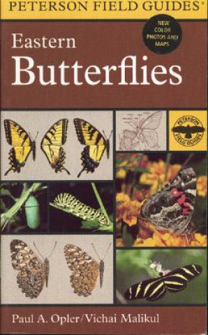 Kniha Field Guide to Eastern Butterflies Paul A. Opler