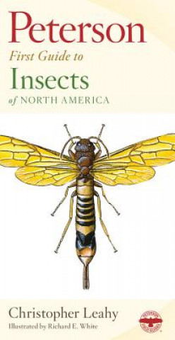 Kniha Peterson First Guide to Insects of North America Christopher Leahy