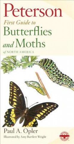 Könyv First Guide to Butterflies Amy Bartlett Wright