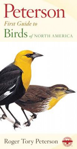 Carte Peterson First Guide to Birds of North America Roger Tory Peterson