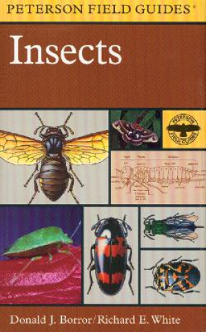 Carte Field Guide to Insects Donald J. Borror