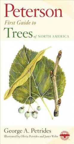 Book Peterson First Guide to Trees Olivia Petrides
