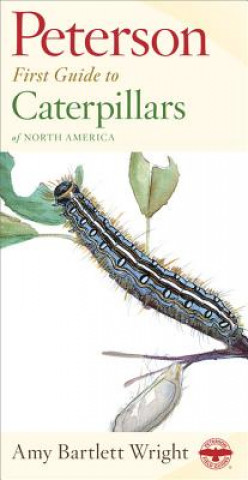 Carte First Guide to Caterpillars Amy Bartlett Wright