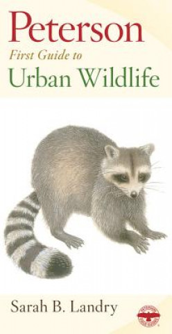 Książka Peterson First Guide to Urban Wildlife Sarah Landry