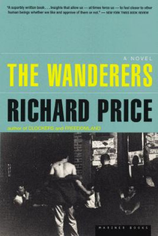 Kniha The Wanderers Richard Price