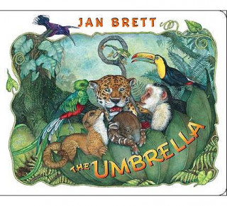 Książka The Umbrella Jan Brett