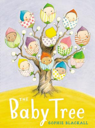 Livre The Baby Tree Sophie Blackall