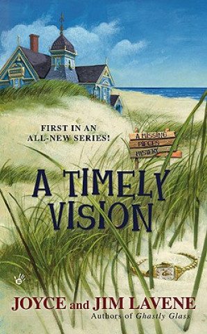 Buch A Timely Vision Joyce Lavene