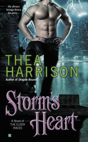 Kniha Storm's Heart Thea Harrison