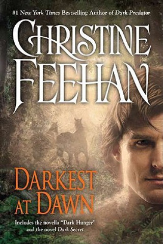 Kniha Darkest at Dawn Christine Feehan