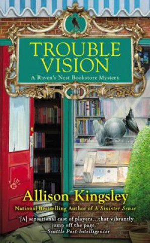 Kniha Trouble Vision Allison Kingsley