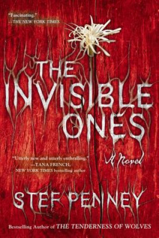 Kniha The Invisible Ones Stef Penney