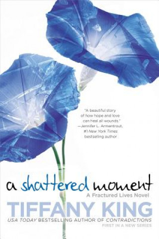 Buch A Shattered Moment Tiffany King