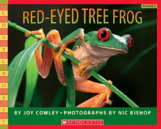 Könyv Red-Eyed Tree Frog Joy Cowley