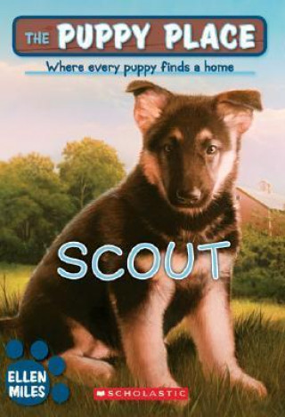 Boek Scout Ellen Miles