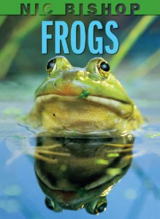 Book Frogs Nic Bishop