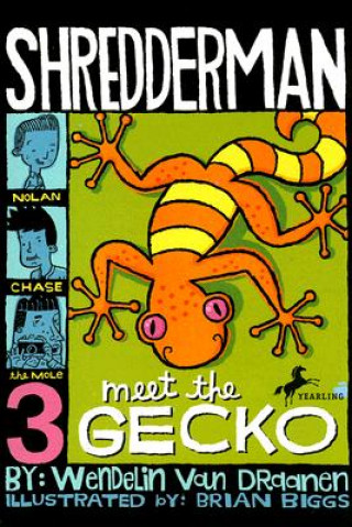 Kniha Meet the Gecko Wendelin Van Draanen
