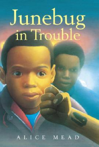 Buch Junebug in Trouble Alice Mead