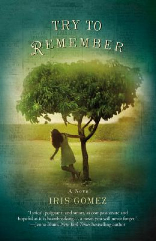 Книга Try to Remember Iris Gomez