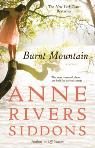 Knjiga Burnt Mountain Anne Rivers Siddons