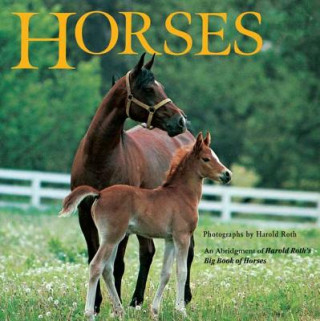 Könyv Horses Harold Roth