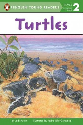 Kniha Turtles Jodi Huelin
