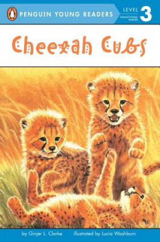 Könyv Cheetah Cubs Ginjer L. Clarke