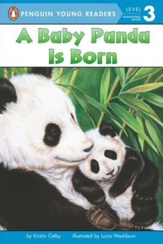 Kniha A Baby Panda Is Born Kristin Ostby