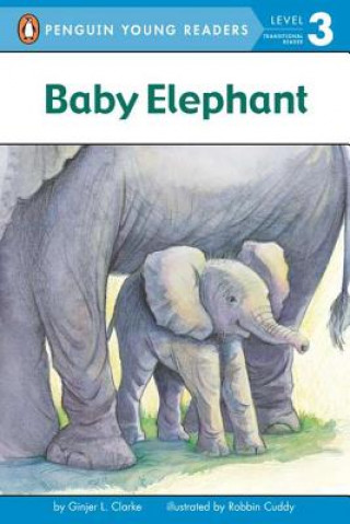 Książka Baby Elephant Ginjer L. Clarke