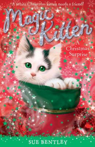 Könyv A Christmas Surprise Sue Bentley
