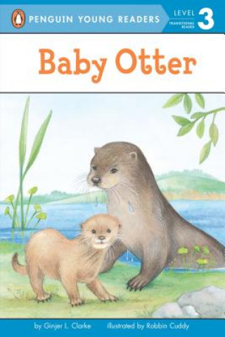 Knjiga Baby Otter Ginjer L. Clarke