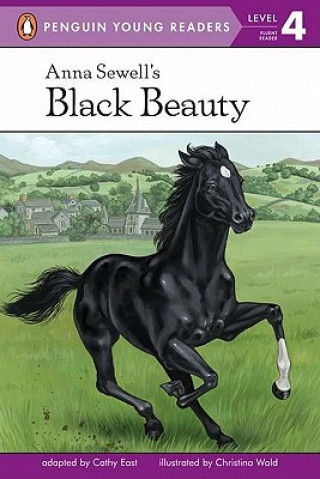 Könyv Anna Sewell's Black Beauty Cathy East