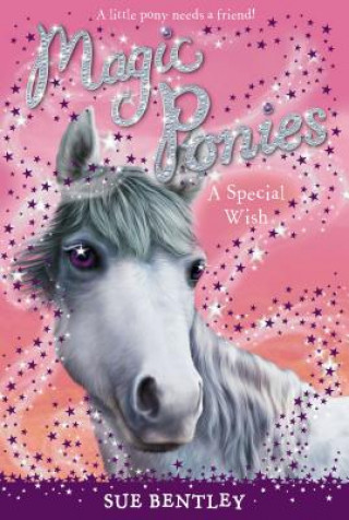 Livre A Special Wish Sue Bentley