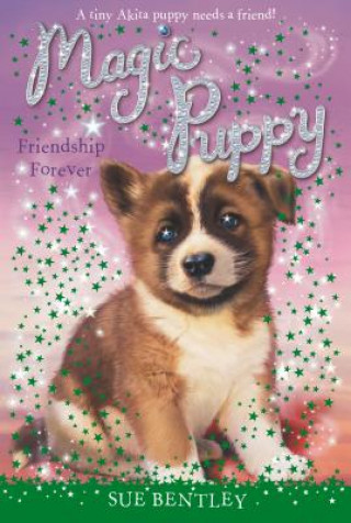 Kniha Friendship Forever Sue Bentley