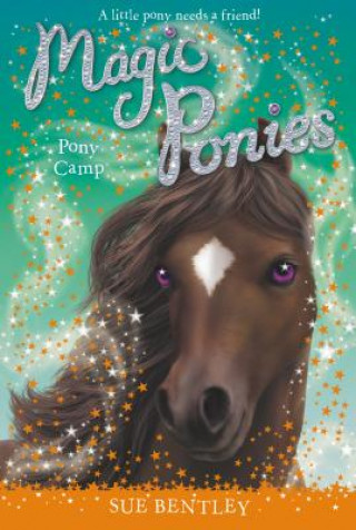 Kniha Pony Camp Sue Bentley