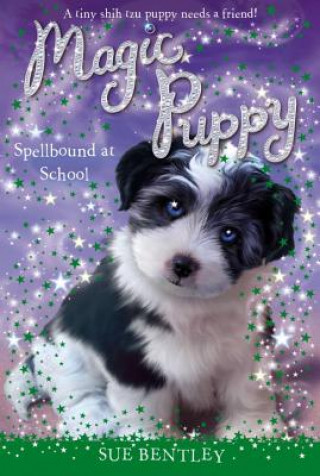 Knjiga Spellbound at School Sue Bentley