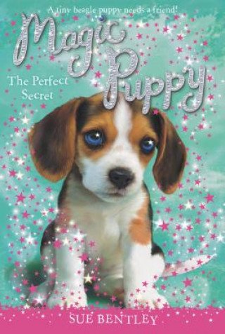 Könyv The Perfect Secret Sue Bentley