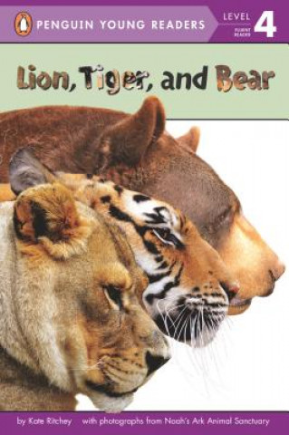 Libro Lion, Tiger, and Bear Kate Ritchey