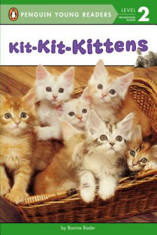 Könyv Kit-Kit-Kittens Bonnie Bader