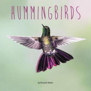 Kniha Hummingbirds Bonnie Bader